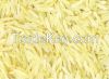 CAMOLINO RICE / MEDIUM GRAIN RICE / CALROSE RICE