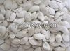 Snow White Pumpkin Seeds