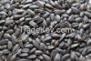 sale sunflower seeds from Inner mongolia