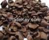 Palm Kernel Shells Available