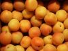 abricots