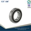 Roller bearing, rolling bearings