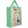 non woven shopping bag