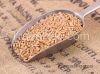 Grade A Spelt Hulled Grains