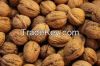 Walnut kernels available in stock and ready for export