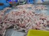 GRADE A PROCESSED FROZEN CHICKEN FEET/PAWS