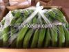 SELL GREEN FRESH CAVENDISH BANANA