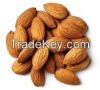 Sell Almonds