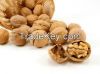 Sell Walnuts