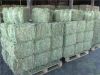 Quality Alfafa Hay for Animal Feeding Stuff Alfalfa / Alfalfa Hay / Alfalfa Hay