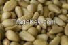 Pine nuts for sale