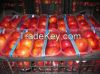 FRESH NECTARINES