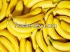 Cavendish bananas