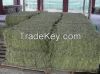 supply high quality Animal feed alfalfa meal/ alfalfa hay for sale