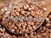 BuckwheatNew Buckwheat, Roasted Buckwheat 2015 Crop Unroasted Buckwheat For Sale