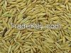 Kiln Dried Hulled Oats