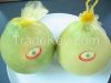 Fresh Pomelo Supplier, Fresh Tropical Fruit