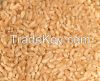 Ukrainian milling wheat for export