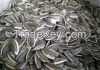 sunflower seeds