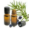 Pure and Natural Juniper Berry Essential Oil