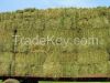 Alfalfa Hay Bales