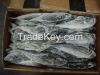 Frozen Horse Mackerel