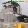 20T/D maize mill machine, Grain mill electirc, 20T/24H maize mill