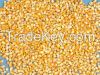 White and Yellow Maize