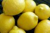 Fresh Eureka lemon