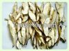 dry king oyster mushroom