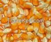 yellow and white corn