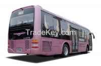 City bus, buses, inner bus, sightseeing bus, coach