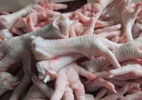 Processed Grade A chicken Paws and Feet available for shipment