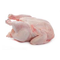 chicken meat for sale