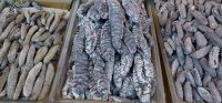 Dried sea cucumber for sale