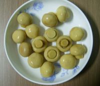 Sell mushroom in excellent quality