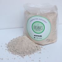 Gypsum Powder