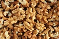 Grade A organic Walnuts Best prices Wholesale