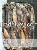 BQF illex squid dirty tube for bait