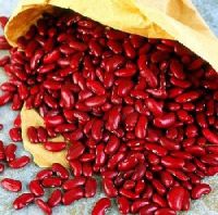 Top Grade AAA Long Red  Kidney Beans/ Red Kidney Beans/Small Red Kidney Beans
