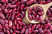 organic dark red kidney bean