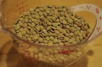 precooked green lentils /2016 new healthy bulk organic lentils