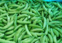 High Quality iqf frozen peapods/sweet broad pea