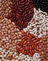 Red, Black, White, Speckled Kidney Beans