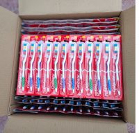 Premier Clean cheap price adult toothbrush.