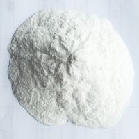 Wholesale whey protein concentrate 80% / whey protein concentrate powder