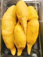 Whole fresh durian fruit from Vietnam wholesaler