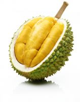 Fresh RI6 Durian in Whole from Vietnam supplier