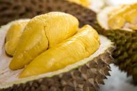 Fresh and Sweet Ri6 Durian in Whole or Peeled from Vietnam