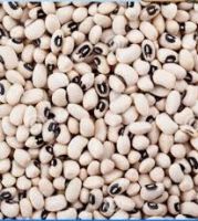 White Beans On sale in Nigeria